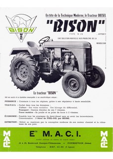 Bison